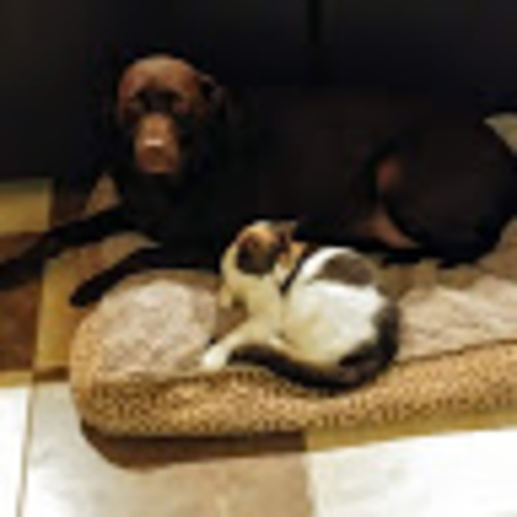 Meet your Posher, Tracy - Picture 1 of 1